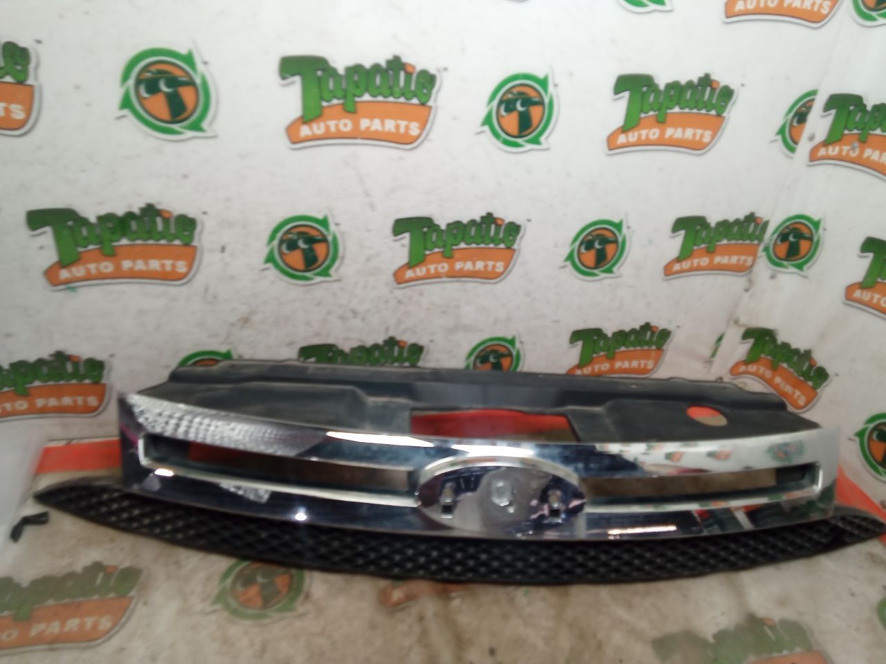 2008 FOCUS Ford Grille