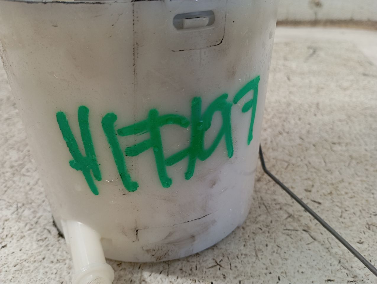 2019 Ford MUSTANG Fuel Pump