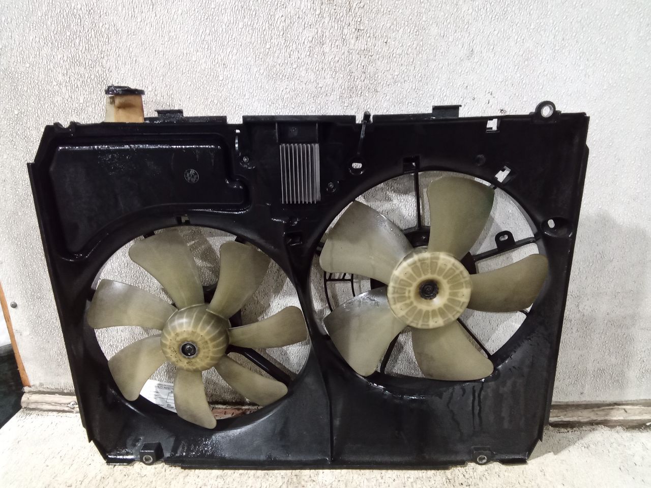 2005 Lexus LEXUS RX330 Rad Cond Fan Motor