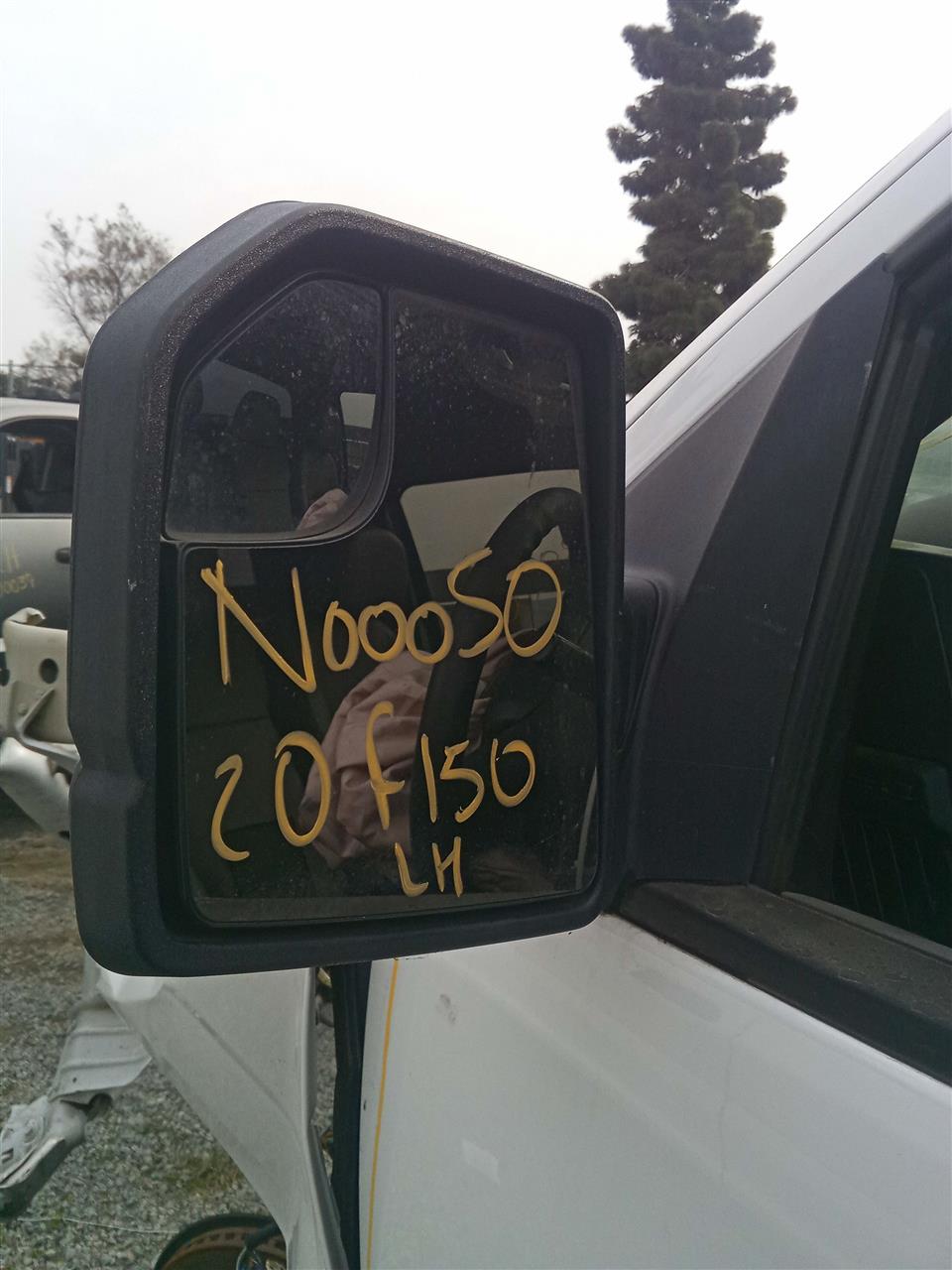 2020 Ford FORD F150 PICKUP Side View Mirror