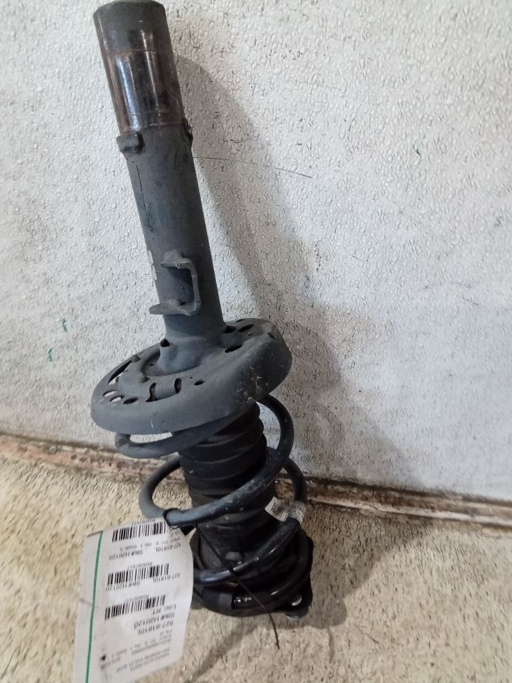 2019 Honda CIVIC Strut