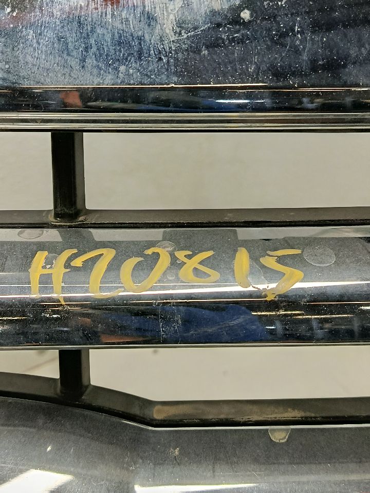 2017 Ford FORD F150 PICKUP Grille