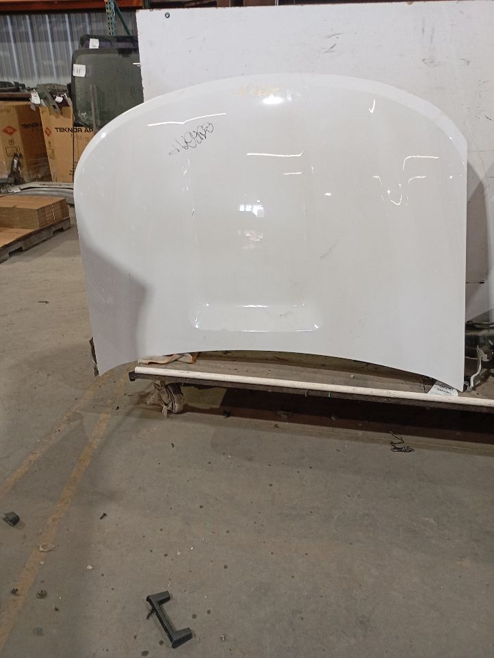 2020 Ford EXPLORER Hood