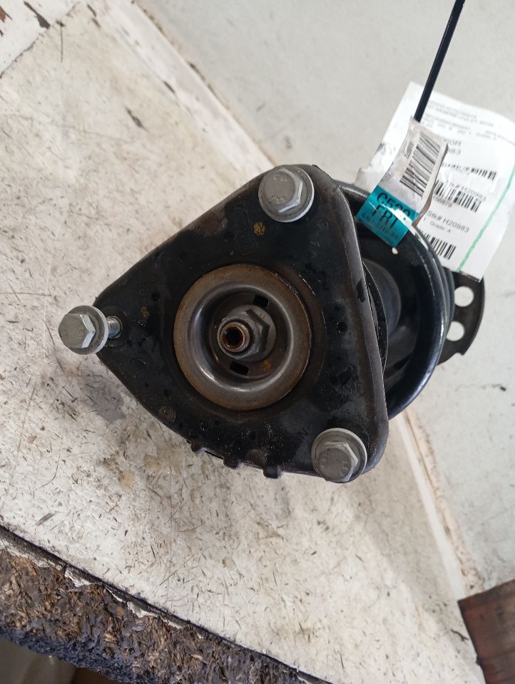 2019 Ford ESCAPE Strut