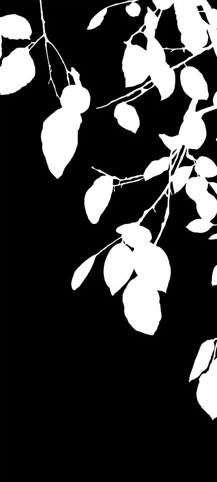 Part image 16