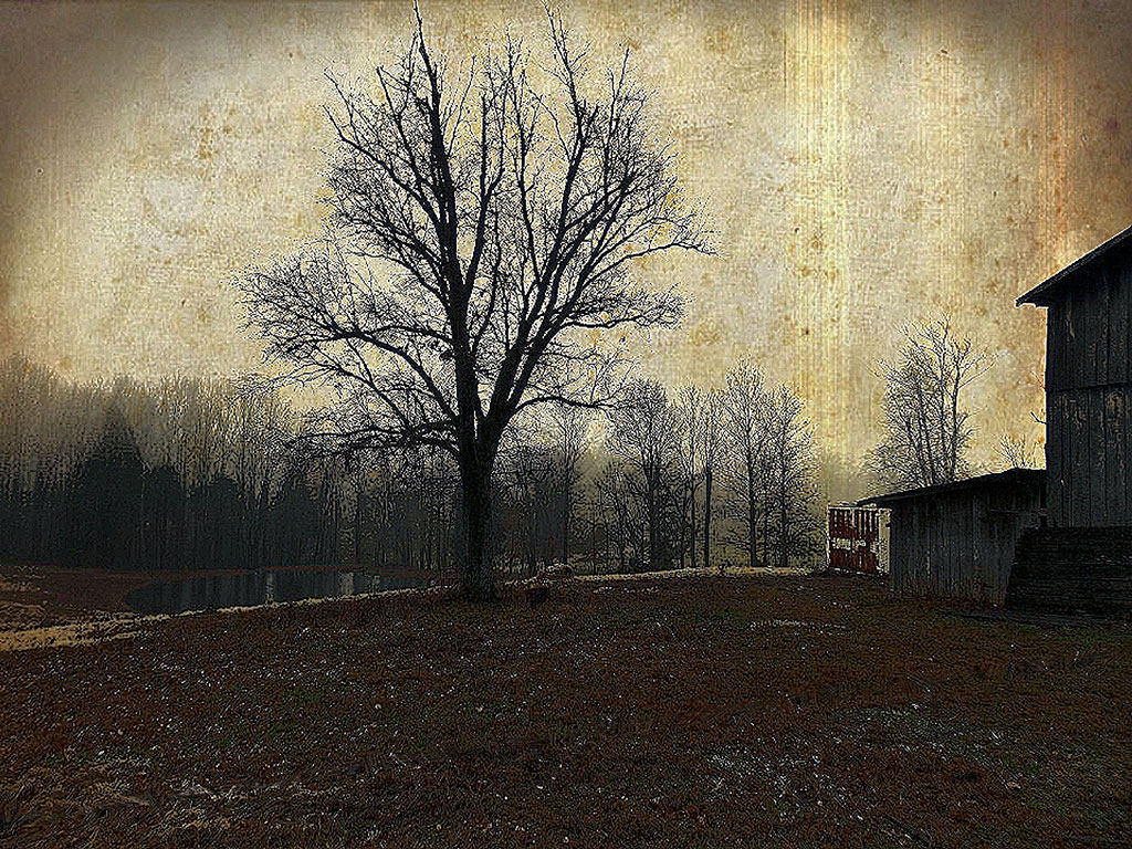 Modern Farmhouse Wall Art featuring a wooden horse barn and a wintery tree in vintage brown tones