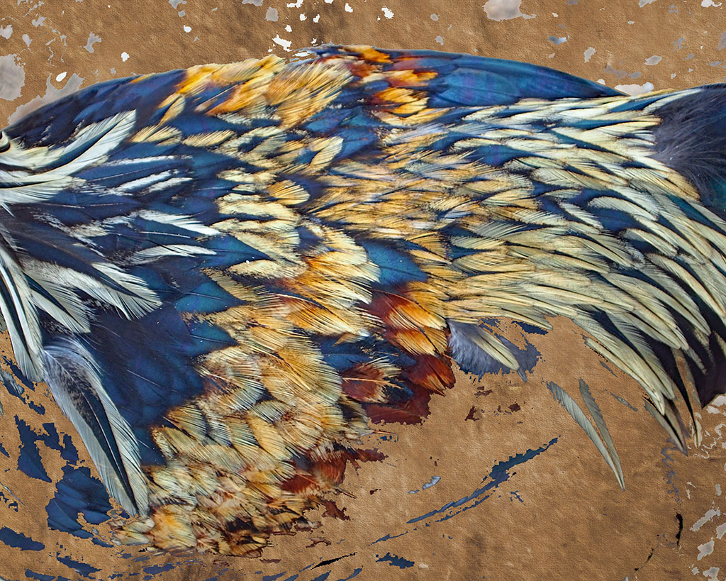 Contemporary wall art featuring blue and gold chicken feathers