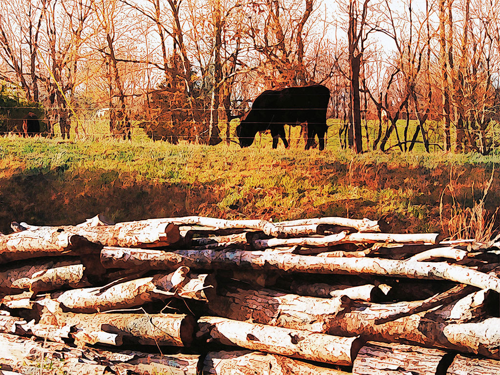 Colorful wall art featuring a cow grazing in a field of autumn colors