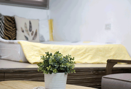 Yellow throw in Using Color Psychology in Decorating article
