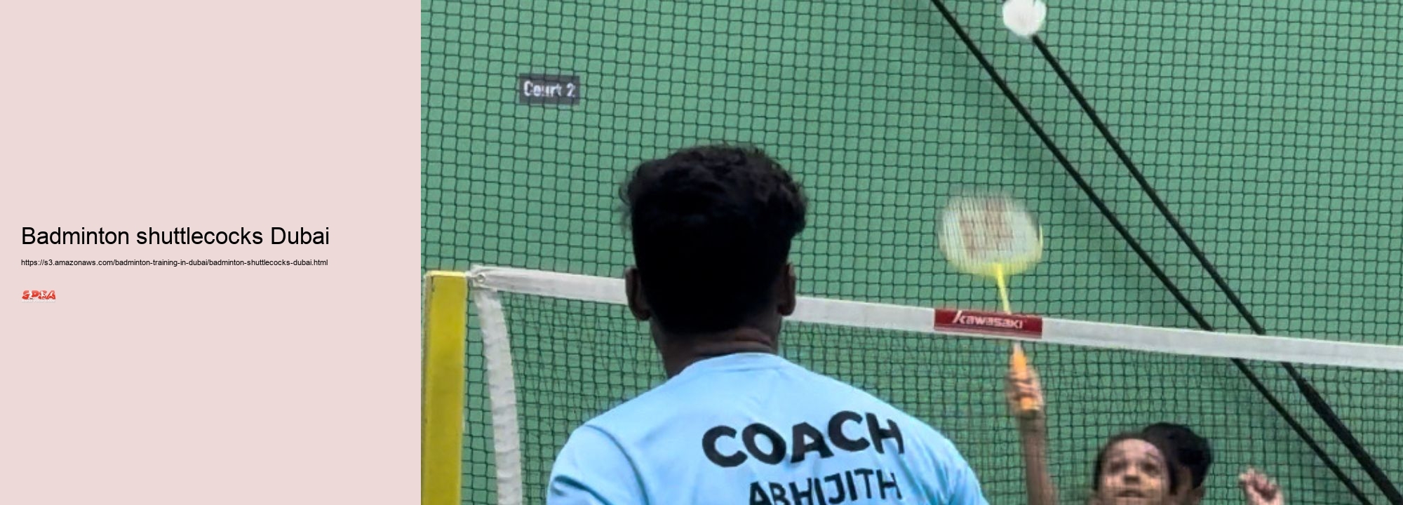 Badminton shuttlecocks Dubai