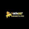 winbetxpro