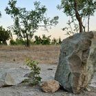 بالاترین: بی‌شعوری چهارچرخه! - Vimarsana News