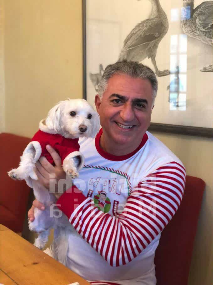 بالاترین: پرسش از طرفداران این قمبلی بلا