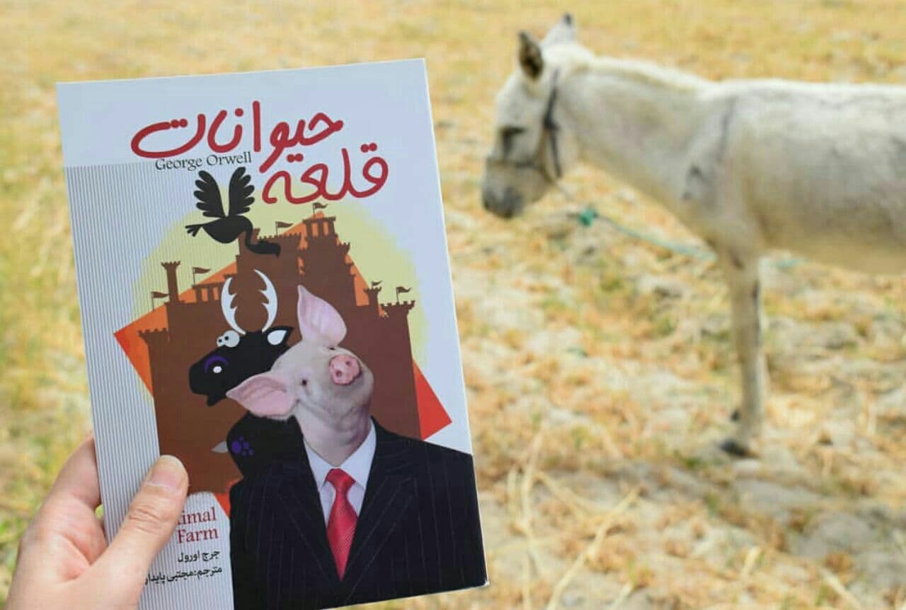 سکس سکس حیوانات