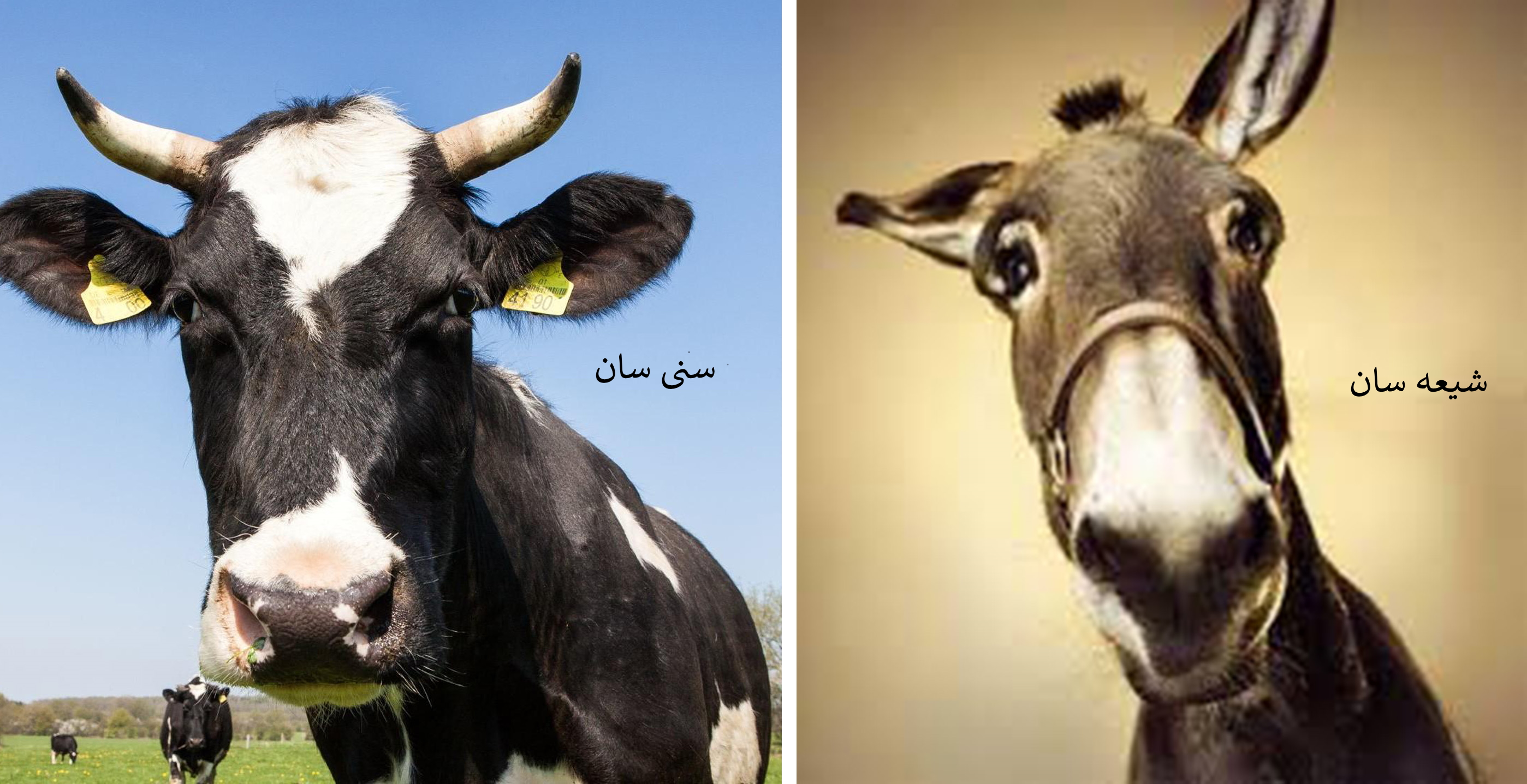 بالاترین: سکس محمد با خاله خود!