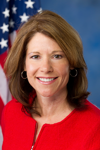 Image of Cheri Bustos