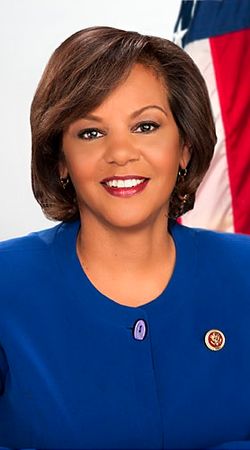 Image of Robin Kelly