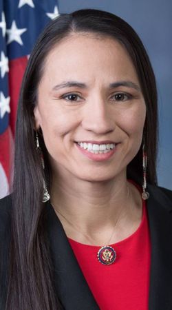 Image of Sharice Davids