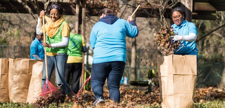 A group of people raking leaves