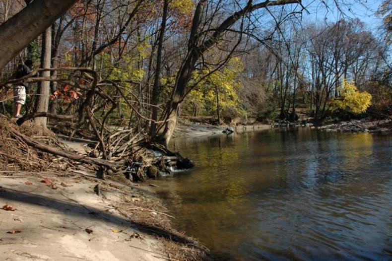 A creek and a creek bank