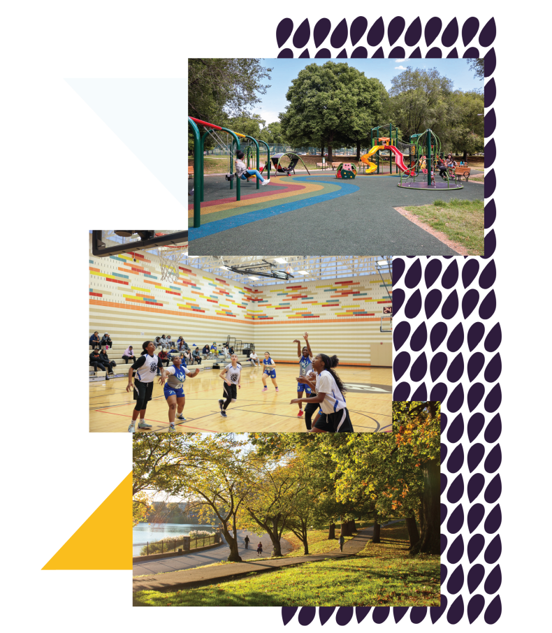 College of a park, women laying basketball and a playground