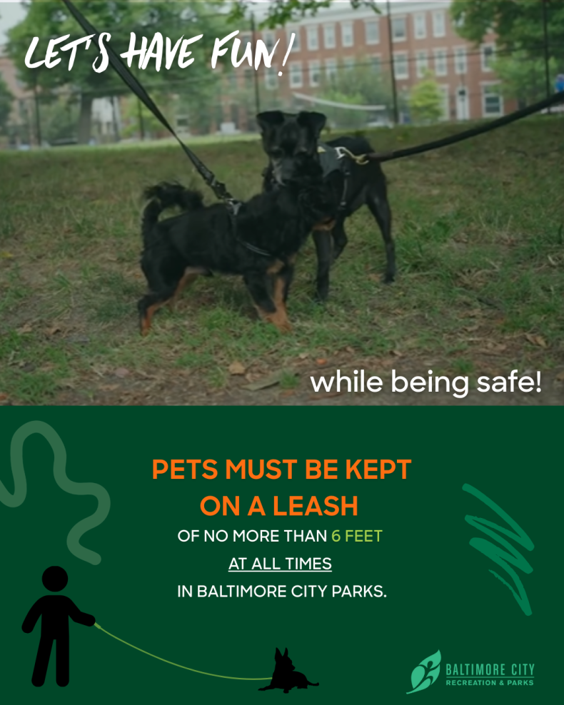 A poster of 2 dogs enjoying each other company. While the poster instructs the owners to keep them on a leash for saftey 
