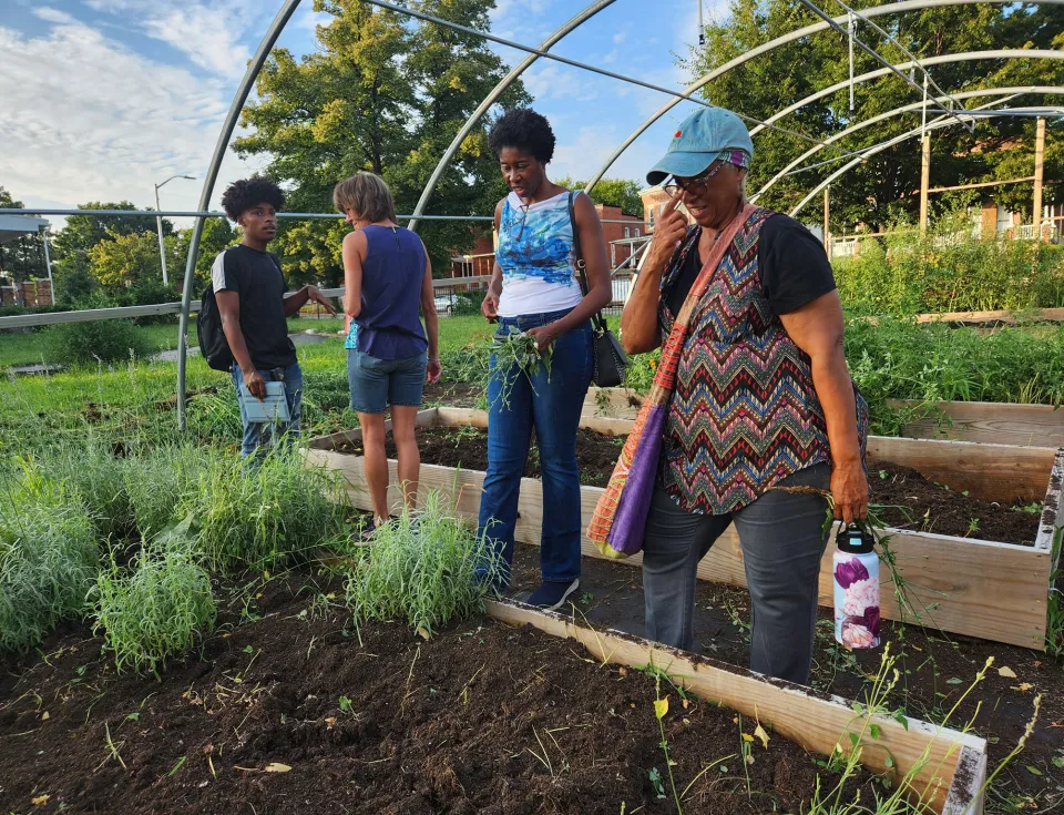 Group of people planting 