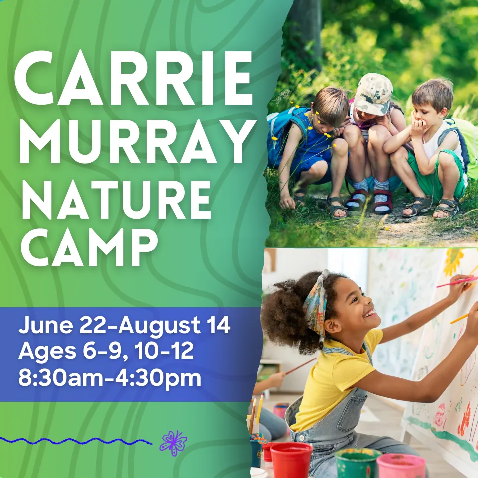 BCRP Carrie Murray Nature Center Summer Camp