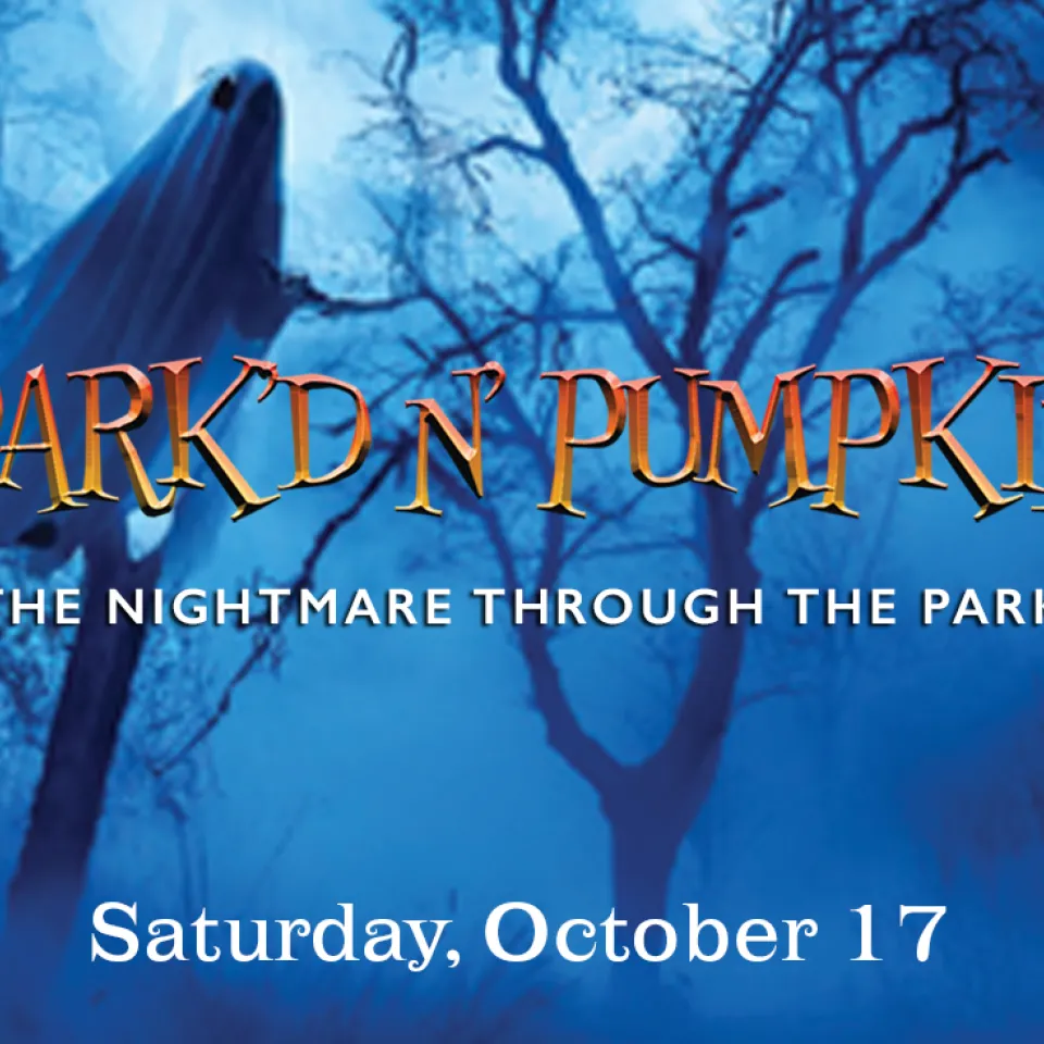 Park'd 'N Pumpkin