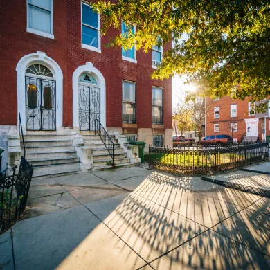 Baltimore City row homes with the sun shining through nearby trees