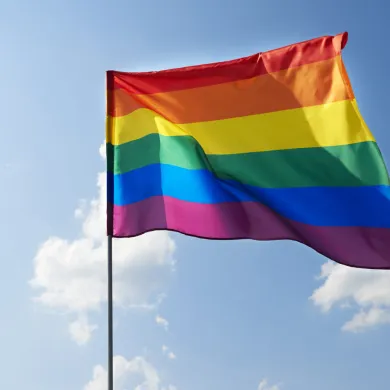 LGBTQ flag