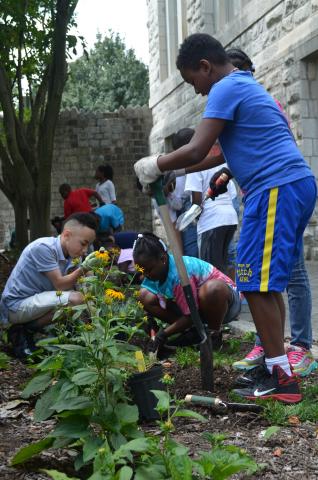 A group of children tend to a backyard garden.