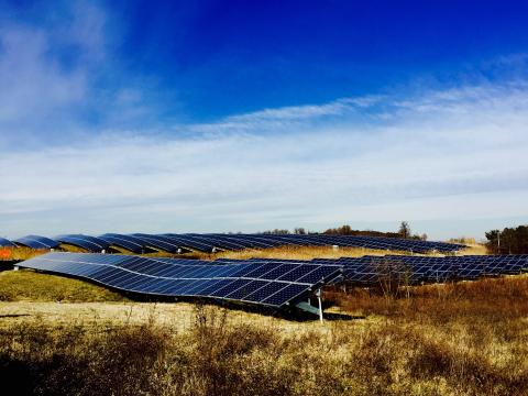 Solar panels in a field on a sunny day
