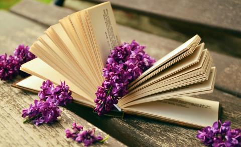 Book with purple flowers 1280