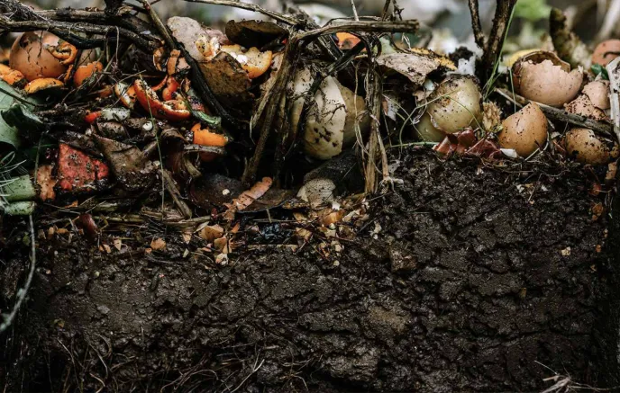 A close-up of a compost pile showing decomposing food scraps, including eggshells, fruit peels, and vegetable scraps mixed with soil and organic materials. The organic waste is breaking down, contributing to nutrient-rich compost.