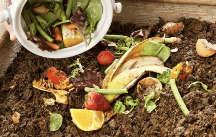 A person pouring fresh food scraps, including banana peels, orange slices, lettuce, and carrot pieces, into a compost bin filled with dark, rich soil. The image highlights the composting process as a sustainable way to manage organic waste. 