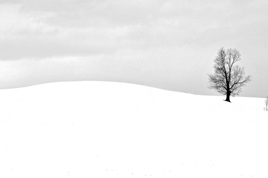 Alone by Stone Peng | Black & White Magazine | For Collectors of Fine
