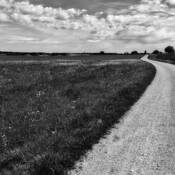 Where Our Road Leads by Michael Nguyen