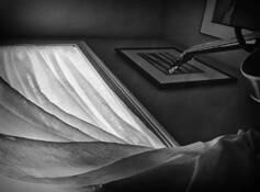 Tangled With Morning by Ted Anderson