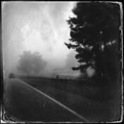 Foggy Morning by Dale Niles