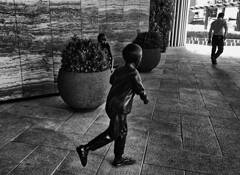 Hide and Seek by Tan Chee Hon