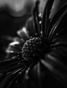 An Unseen World by Camden Hosea-Small