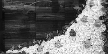 Grand Market by Alison Webb