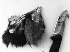 Untitled 1 by Ken LeGros