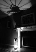 Angel Shadow by James C. Esten
