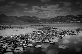 Nature by Lucja Wolfram