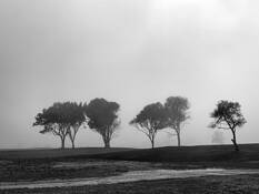 Silhouettes by Tom B. Burgher, II