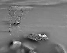 Just Below by Natalie Sweeck