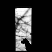 Wrigley by Megan Draheim