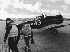 The Americans by Douglas K Mayhew